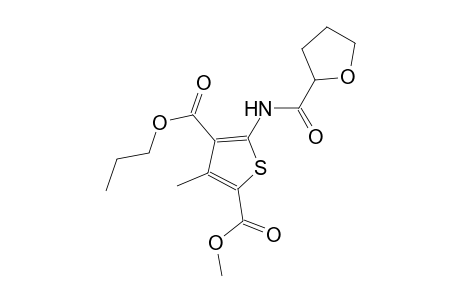 2-methyl 4-propyl 3-methyl-5-[(tetrahydro-2-furanylcarbonyl)amino]-2,4-thiophenedicarboxylate