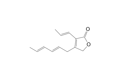 3-Propenyl-4-(hexa-2',4'-dien-1'-yl)furan-2(5H)-one