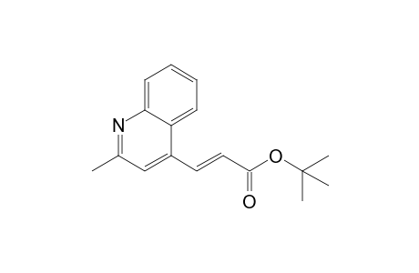 (E)-3-(2-methyl-4-quinolinyl)-2-propenoic acid tert-butyl ester