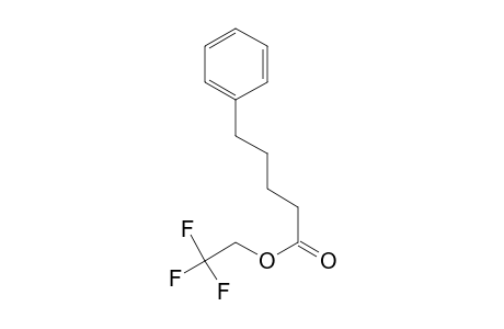 5-Phenylpentanoic acid, 2,2,2-trifluoroethyl ester