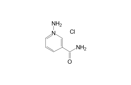 1-Amino-3-carbamoylpyridinium chloride
