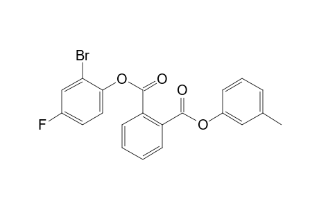 Phthalic acid, 2-bromo-4-fluorophenyl 3-methylphenyl ester