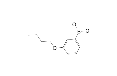 3-Butoxyphenylboronic acid