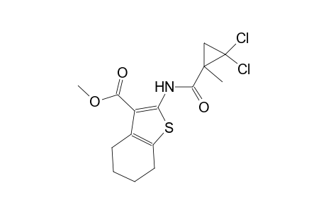 methyl 2-{[(2,2-dichloro-1-methylcyclopropyl)carbonyl]amino}-4,5,6,7-tetrahydro-1-benzothiophene-3-carboxylate
