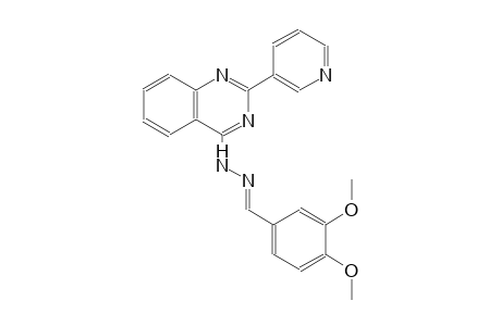 3,4-dimethoxybenzaldehyde [2-(3-pyridinyl)-4-quinazolinyl]hydrazone