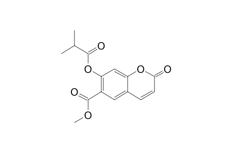 OFFICINALIN-ISOBUTYRATE