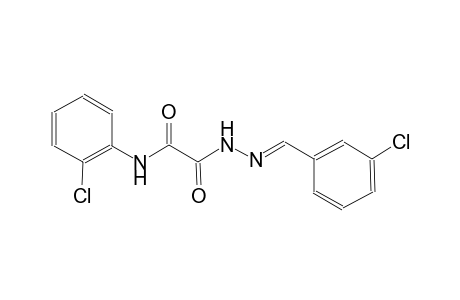 2-[(2E)-2-(3-Chlorobenzylidene)hydrazino]-N-(2-chlorophenyl)-2-oxoacetamide