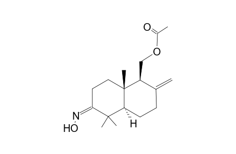 (1S,2S,6R) 2-Acetoxymethyl-3-methylene-1,7,7-trimethyl-8-oximidobicyclo[4.4.0]decane