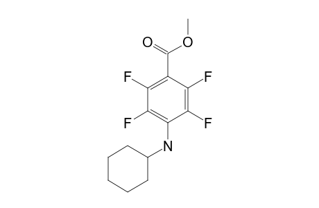 4-CYCLOHEXYLAMINO-2,3,5,6-TETRAFLUOROBENZOIC-ACID-METHYLESTER