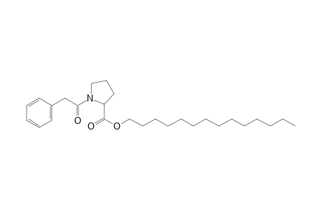 L-Proline, N-(phenylacetyl)-, tetradecyl ester