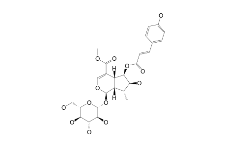 CAUDATOSIDE-C;6-P-COUMARYL-5-DEOXYPULCHELLOSIDE-I