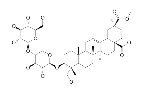 3-O-[BETA-D-GLUCOPYRANOSYL-(1->2)-BETA-D-XYLOPYRANOSYL]-PHYTOLACCINIC-ACID