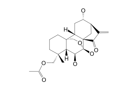 WIKESTROEMIOIDIN-C;19-ACETOXY-6-BETA,7-BETA,12-ALPHA-TRIHYDROXY-7-ALPHA,20-EPOXY-ENT-KAUR-16-EN-15-ONE