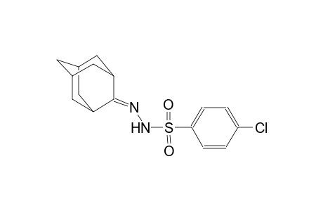 4-chloro-N'-tricyclo[3.3.1.1~3,7~]dec-2-ylidenebenzenesulfonohydrazide