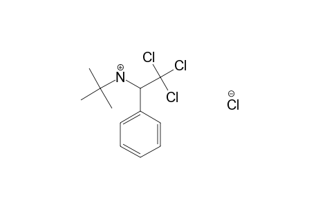 N-(tert-BUTYL)-alpha-(TRICHLOROMETHYL)BENZYLAMINE, HYDROCHLORIDE