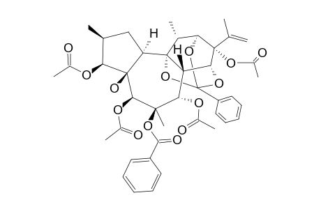 TRIGOXYPHIN_E