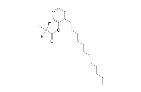 2-N-Dodecylphenol, trifluoroacetate ester