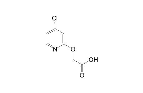 2-(4-Chloranylpyridin-2-yl)oxyethanoic acid
