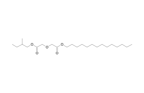 Diglycolic acid, 2-methylbutyl tetradecyl ester