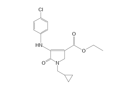 4-(p-chloroanilino)-1-(cyclopropylmethyl)-5-oxo-3-pyrroline-3-carboxylic acid, ethyl ester