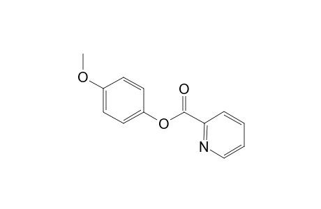 4-Methoxyphenyl picolinate