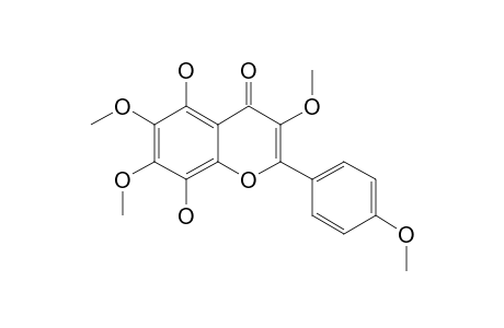 8-O-DETIGLOYL-7-O-METHYL-PRATENSIN A