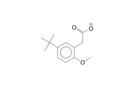 2-methoxy 5-tert-butylphenylacetic acid