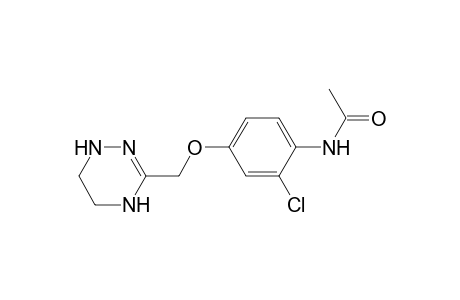 O-chloro-p-(1,4,5,6-tetrahydro-1,2,4-triazin-3-yl-methoxy)acetanilide