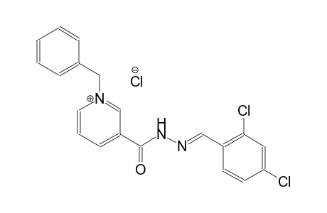 1-benzyl-3-{[(2E)-2-(2,4-dichlorobenzylidene)hydrazino]carbonyl}pyridinium chloride