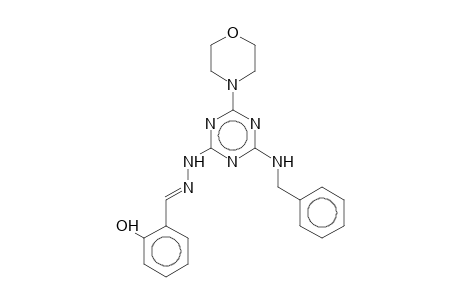 2-Hydroxybenzaldehyde [4-(benzylamino)-6-(4-morpholinyl)-1,3,5-triazin-2-yl]hydrazone
