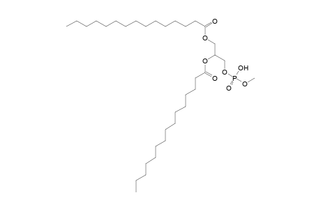 PMeOH 15:0_15:0