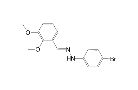 N-(4-Bromo-phenyl)-N'-(2,3-dimethoxy-benzylidene)-hydrazine