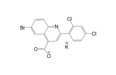 potassium 6-bromo-2-(2,4-dichlorophenyl)-4-quinolinecarboxylate