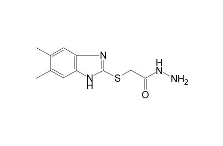 (5,6-Dimethyl-1H-benzoimidazol-2-ylsulfanyl)acetic acid, hydrazide