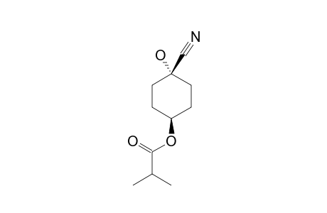 TRANS-4-(2-METHYLPROPIONYLOXY)-CYCLOHEXANONE-CYANOHYDRIN