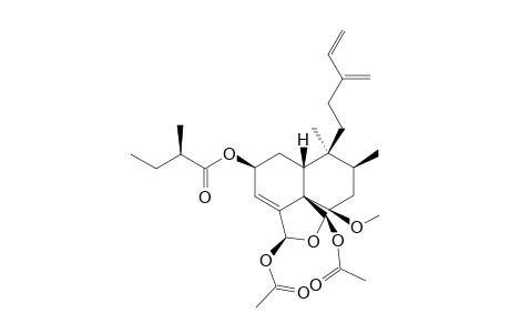 REL-18(S),19(R)-DIACETOXY-18,19-EPOXY-6(R)-METHOXY-2(S)-(2-XI-METHYLBUTANOYLOXY)-5(R),8(S),9(S),10(R)-ClERODA-3,13(16),14-TRIENE