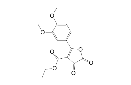 2-(3,4-dimethoxyphenyl)-4,5-diketo-furan-3-carboxylic acid ethyl ester