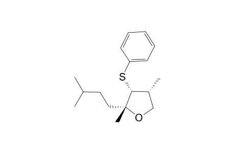 anti,syn and syn,syn-(2R,3R,4R)-2,4-Dimethyl-2-(3-methylbutyl)-3-phenylsulfanyltetrahydrofuran