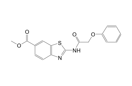 6-benzothiazolecarboxylic acid, 2-[(phenoxyacetyl)amino]-, methyl ester