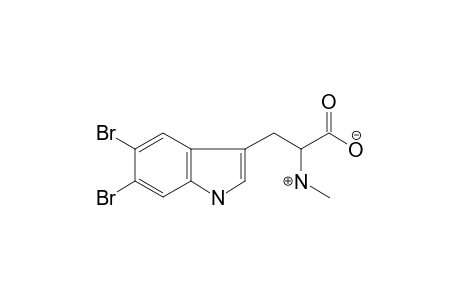 3-(5,6-dibromo-1H-indol-3-yl)-2-methylammonio-propionate