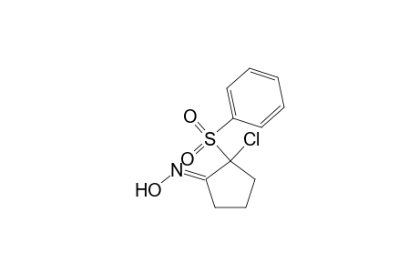 2-Chloro-2-phenylsulfonylcyclopentan-1-one oxime