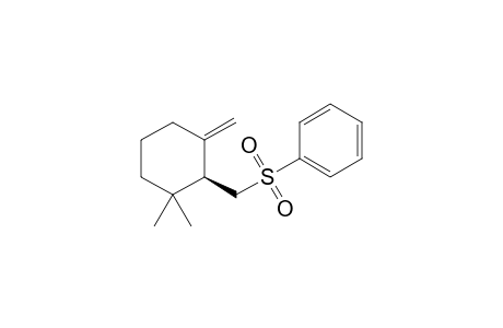 (S)-(+)-2,2-Dimethyl-6-methylene-1-[1'-(benzenesulfonyl)methyl]cyclohexane