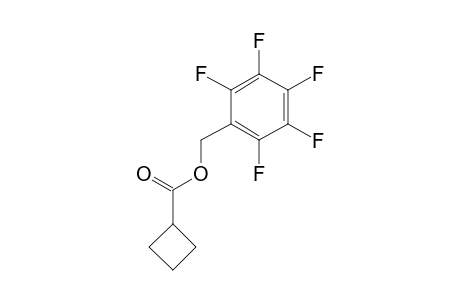 Cyclobutanecarboxylic acid, pentafluorobenzyl ester