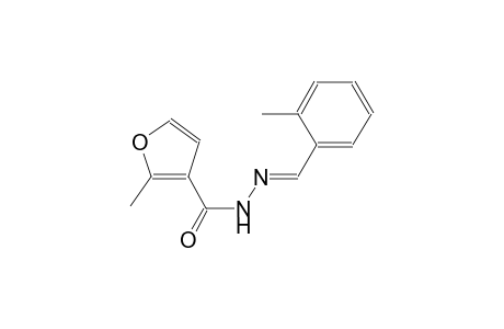 2-methyl-N'-[(E)-(2-methylphenyl)methylidene]-3-furohydrazide