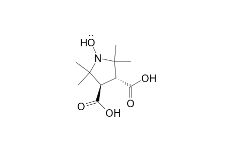 1-Pyrrolidinyloxy, 3,4-dicarboxy-2,2,5,5-tetramethyl-, trans-