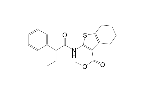 methyl 2-[(2-phenylbutanoyl)amino]-4,5,6,7-tetrahydro-1-benzothiophene-3-carboxylate
