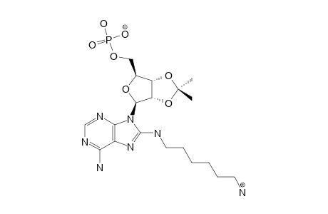 2',3'-ISOPROPYLIDENE-C8-(AMINOHEXYLAMINO)-ADENOSINE-5'-MONOPHOSPHATE;C8-HM-AMP-AC
