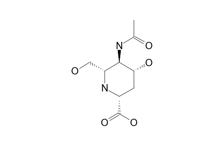 (2S,4S,5S,6R)-5-ACETAMIDO-4-HYDROXY-6-(HYDROXYMETHYL)-PIPERIDINE-2-CARBOXYLIC-ACID