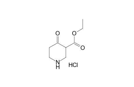 4-oxonipecotic acid, ethyl ester, hydrochloride