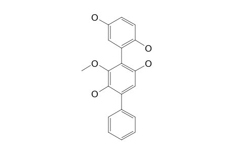 2-(2,5-dihydroxyphenyl)-3-methoxy-5-phenyl-hydroquinone